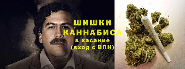 гашик Володарск