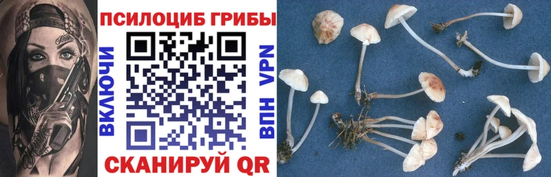 Купить где  Сковородино  Галлюциногенные грибы прущие грибы 